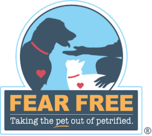 Fear Free Veterinarian Charlotte, NC